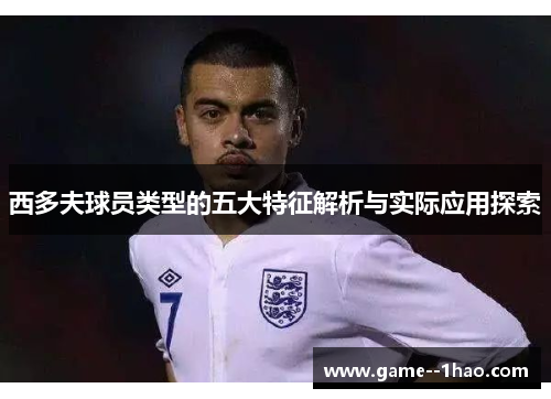 西多夫球员类型的五大特征解析与实际应用探索