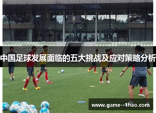 中国足球发展面临的五大挑战及应对策略分析