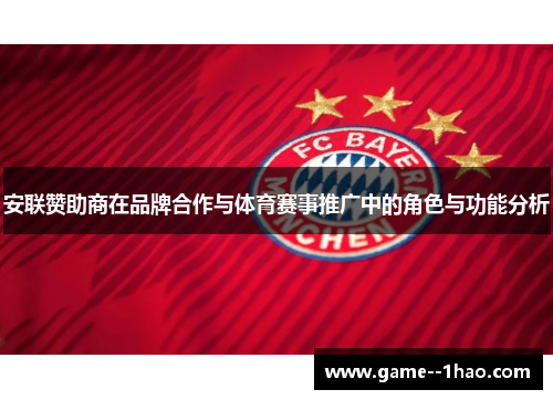 安联赞助商在品牌合作与体育赛事推广中的角色与功能分析