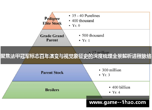 聚焦法甲冠军标志百年演变与视觉象征史的深度梳理全景解析进程脉络 聚焦法甲冠军标志百年演变与视觉象征史的深度梳理全景解析进程脉络
