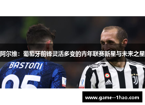 阿尔维：葡萄牙前锋灵活多变的青年联赛新星与未来之星